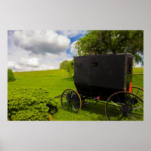 Amish Buggy in Hillside Boerderij Poster (Voorkant)