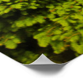 Amish Buggy in Hillside Boerderij Poster (Hoek)