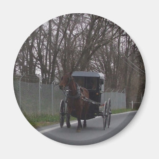 Amish Buggy Magneet
