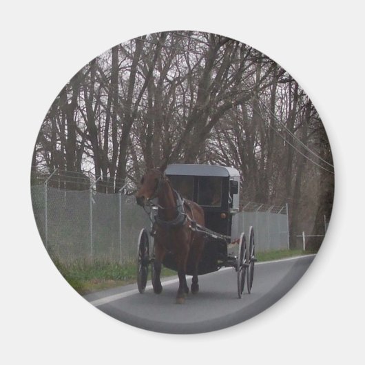 Amish Buggy Magneet (Voorkant)