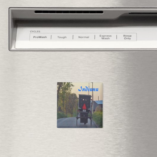 Amish Buggy Magneet (Insitu (Vaatwasser))