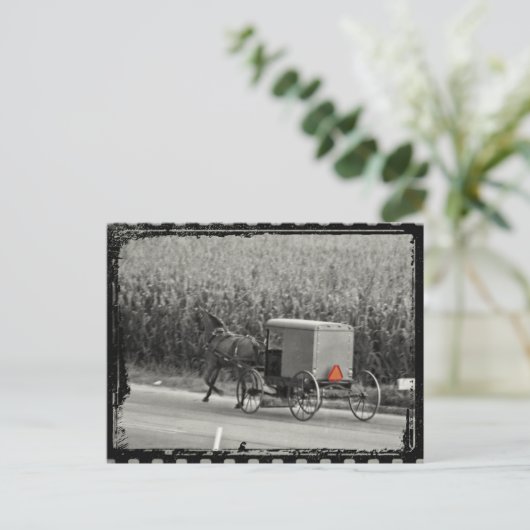 Amish Buggy Monochrome Briefkaart (Staand voorkant)
