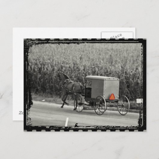 Amish Buggy Monochrome Briefkaart (Voorkant / Achterkant)