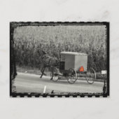 Amish Buggy Monochrome Briefkaart (Voorkant)