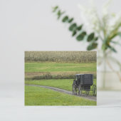 Amish buggy on boerderij lane, noordoost Ohio, Briefkaart (Staand voorkant)