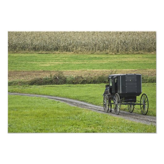 Amish buggy on boerderij lane, noordoost Ohio, Foto Afdruk (Voorkant)