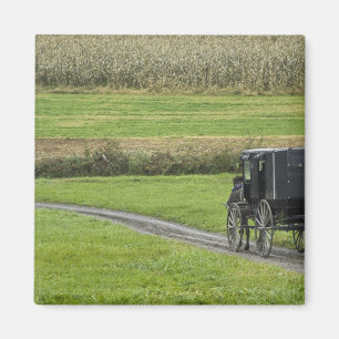 Amish buggy on boerderij lane, noordoost Ohio, Magneet