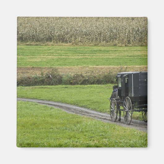Amish buggy on boerderij lane, noordoost Ohio, Magneet (Voorkant)