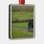 Amish buggy on boerderij lane, noordoost Ohio, Metalen Ornament (Rechts)
