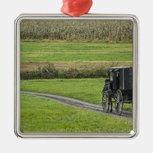 Amish buggy on boerderij lane, noordoost Ohio, Metalen Ornament (Voorkant)
