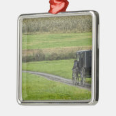 Amish buggy on boerderij lane, noordoost Ohio, Metalen Ornament (Links)