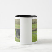 Amish buggy on boerderij lane, noordoost Ohio, Mok (Midden)