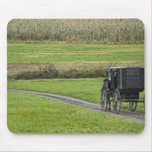 Amish buggy on boerderij lane, noordoost Ohio, Muismat