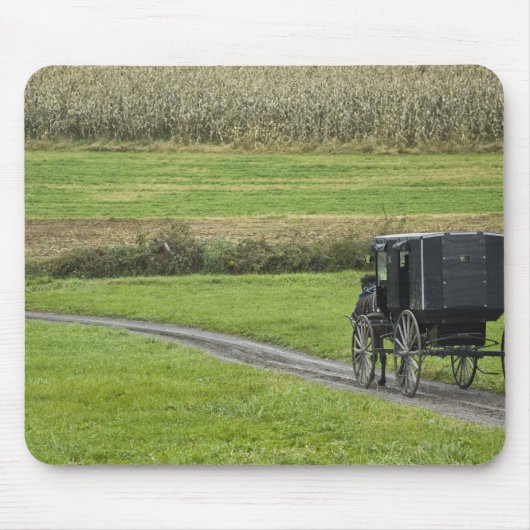 Amish buggy on boerderij lane, noordoost Ohio, Muismat (Voorkant)