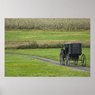 Amish buggy on boerderij lane, noordoost Ohio, Poster