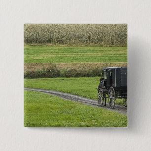 Amish buggy on boerderij lane, noordoost Ohio, Vierkante Button 5,1 Cm