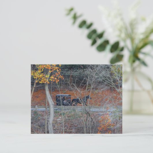 Amish Buggy op een landelijke weg in de herfst, Oh Briefkaart (Staand voorkant)