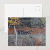 Amish Buggy op een landelijke weg in de herfst, Oh Briefkaart (Voorkant / Achterkant)