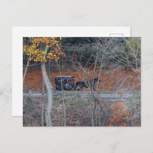 Amish Buggy op een landelijke weg in de herfst, Oh Briefkaart (Voorkant / Achterkant)