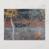 Amish Buggy op een landelijke weg in de herfst, Oh Briefkaart (Voorkant)