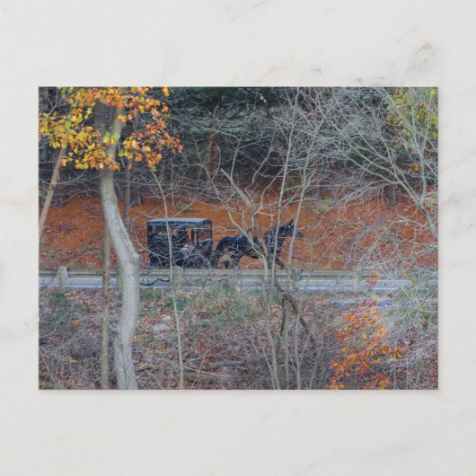 Amish Buggy op een landelijke weg in de herfst, Oh Briefkaart (Voorkant)