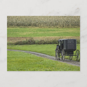 Amish buggy op landweg, Noordoost-Ohio, Briefkaart