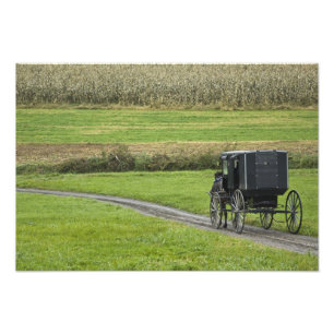 Amish buggy op landweg, Noordoost Ohio, Foto Afdruk