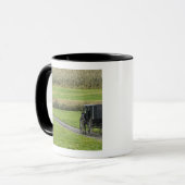 Amish buggy op landweg, Noordoost-Ohio, Mok (Voorkant links)