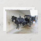 Amish Buggy op Pennsylvania Market Briefkaart (Voorkant / Achterkant)