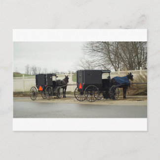Amish Buggy "Parking Lot" Briefkaart
