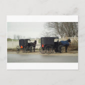 Amish Buggy "Parking Lot" Briefkaart (Voorkant)