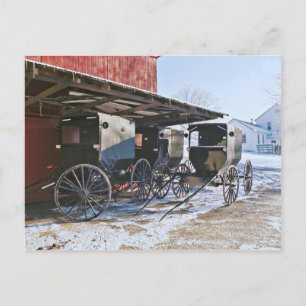 Amish Buggy Port Briefkaart