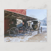 Amish Buggy Port Briefkaart (Voorkant)