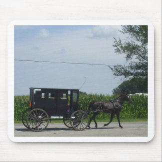 Amish buggy-rit muismat