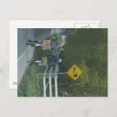 Amish Community Briefkaart (Voorkant / Achterkant)