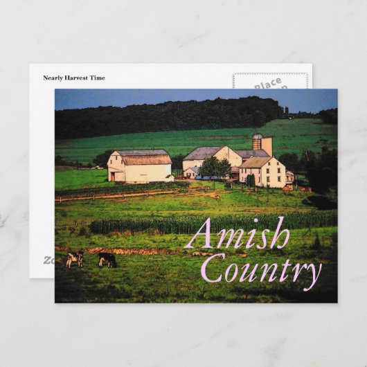Amish Country Briefkaart (Voorkant / Achterkant)