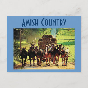 Amish Country Briefkaart - Gepersonaliseerd