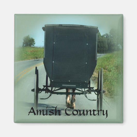 Amish Country Buggy Magneet (Voorkant)