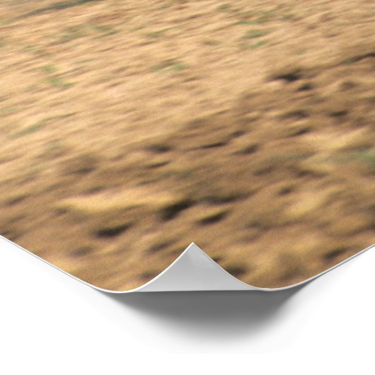 Amish Country eenvoudige mensen in de landbouw met Poster (Hoek)