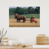 Amish Country eenvoudige mensen in de landbouw met Poster (Keuken)