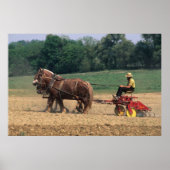 Amish Country eenvoudige mensen in de landbouw met Poster (Voorkant)
