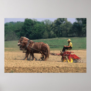 Amish Country eenvoudige mensen in de landbouw met Poster