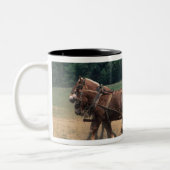 Amish Country eenvoudige mensen in de landbouw met Tweekleurige Koffiemok (Links)