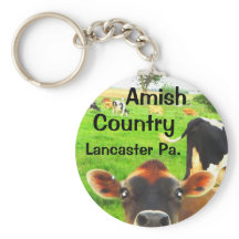 Amish Country Koeien! Lancaster