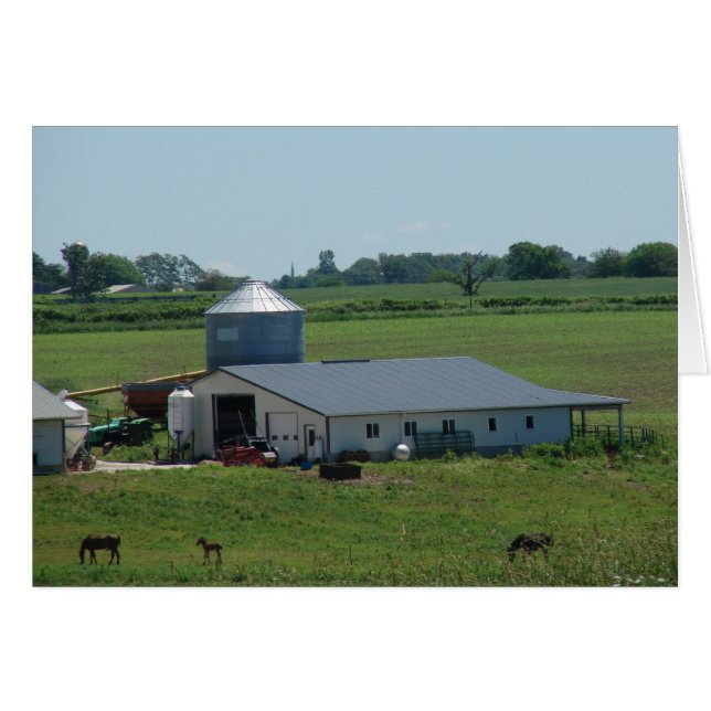 Amish Country Pasture Scene (Voorkant Horizontaal)