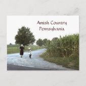 Amish Country Pennsylvania PA Briefkaart (Voorkant)