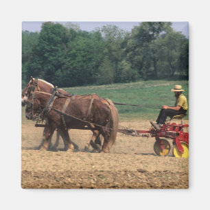 Amish Country simpeler mensen in de landbouw met Magneet