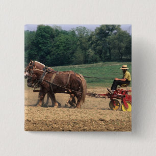 Amish Country simpeler mensen in de landbouw met Vierkante Button 5,1 Cm
