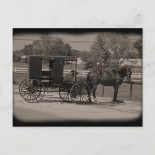 Amish Country Sugarcreek,Ohio Briefkaart