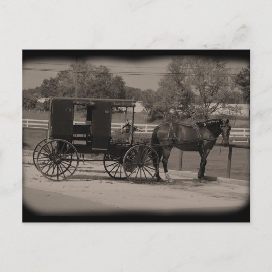 Amish Country Sugarcreek,Ohio Briefkaart (Voorkant)